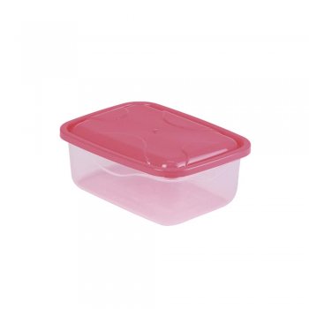 ORGANIZADOR RETANGULAR G - 1,390ML